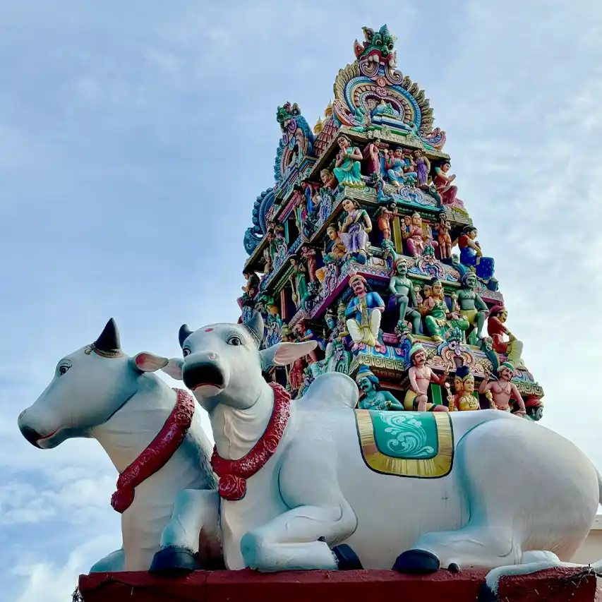 Templo Hindú de Sri Mariamman en Singapur - Guía de Singapur