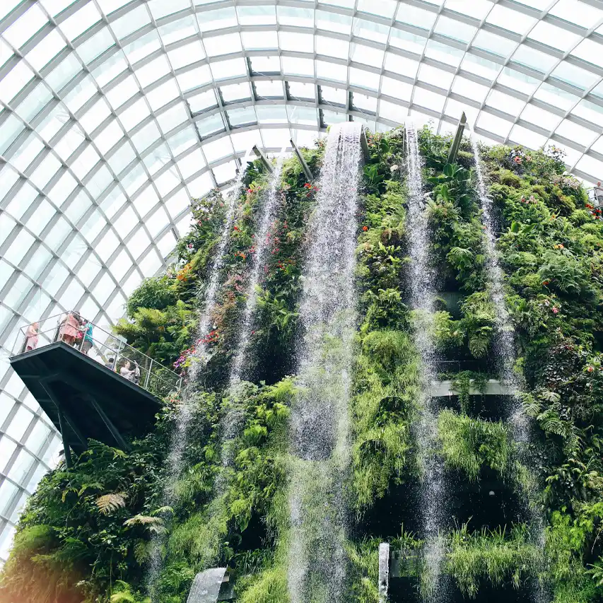 Cloud Forest en Gardens by the Bay en Singapur - Guía de Singapur