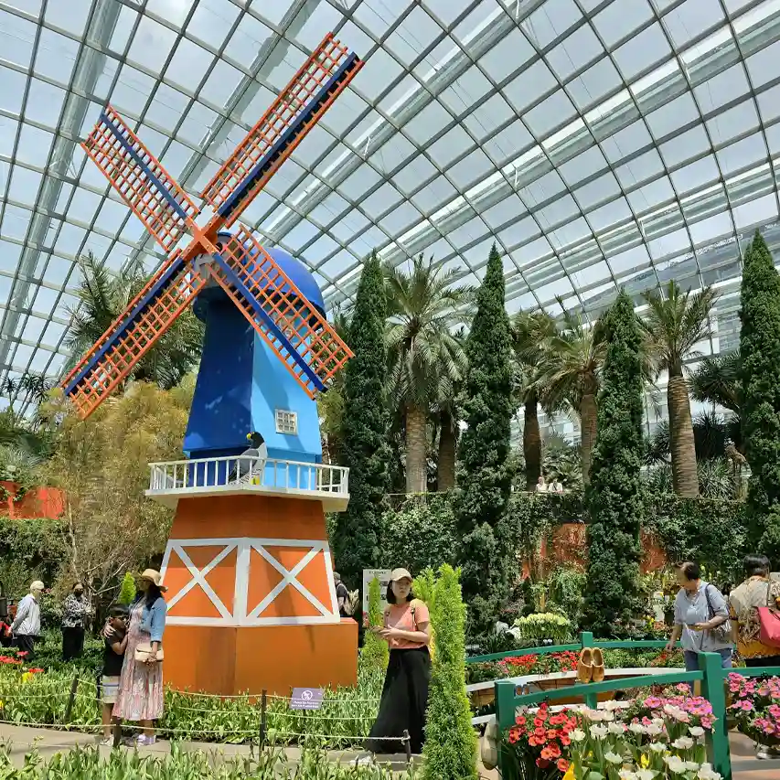 Flower Dome en Gardens by the Bay en Singapur - Guía rápida de Singapur