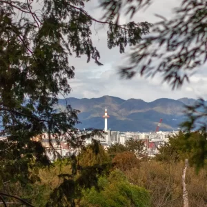 Mirador en Fushimi Inari Taisha - Guia de Kioto Japon