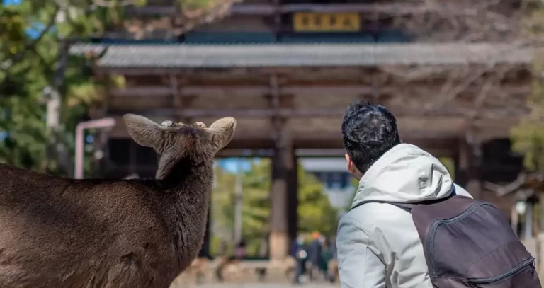 Nara - Guía rápida de Kioto, que ver en Kioto