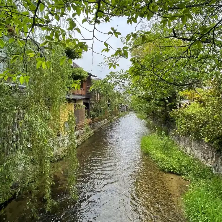 Shirakawa Lane en Kioto - Guia de Kioto, que ver en Kioto