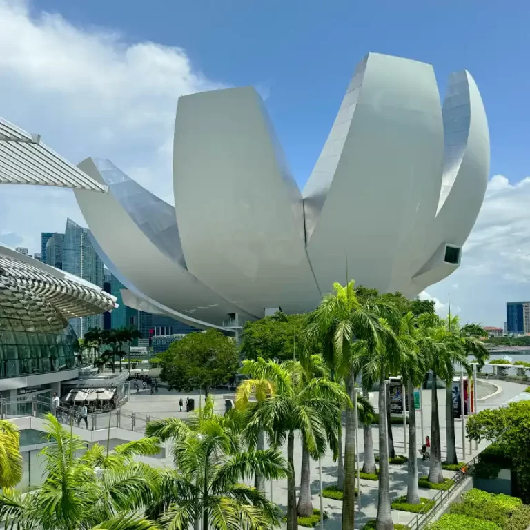 Museo de Arte y Ciencia en Singapur, guía de Singapur
