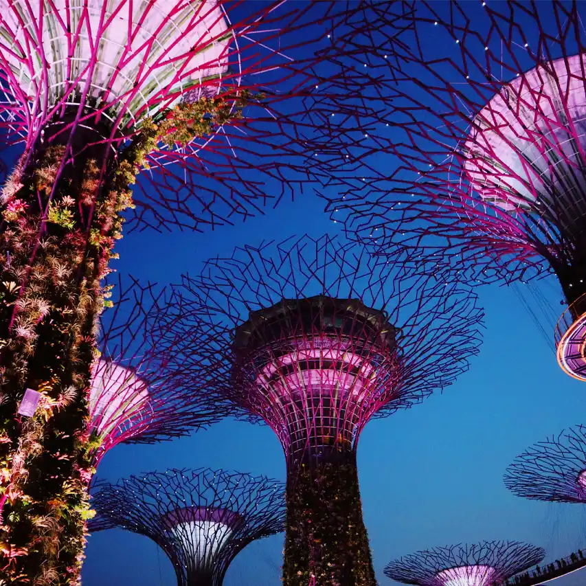 Espectáculo nocturno de Super Trees en Singapur, Guía de Singapur